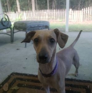 Meet your Posher, Lydia